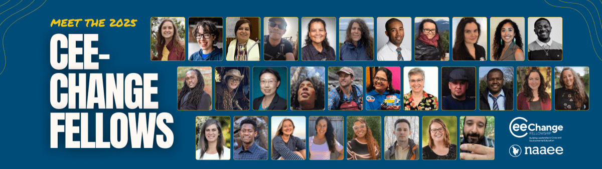 2025 CEE-Change U.S. Fellows grid