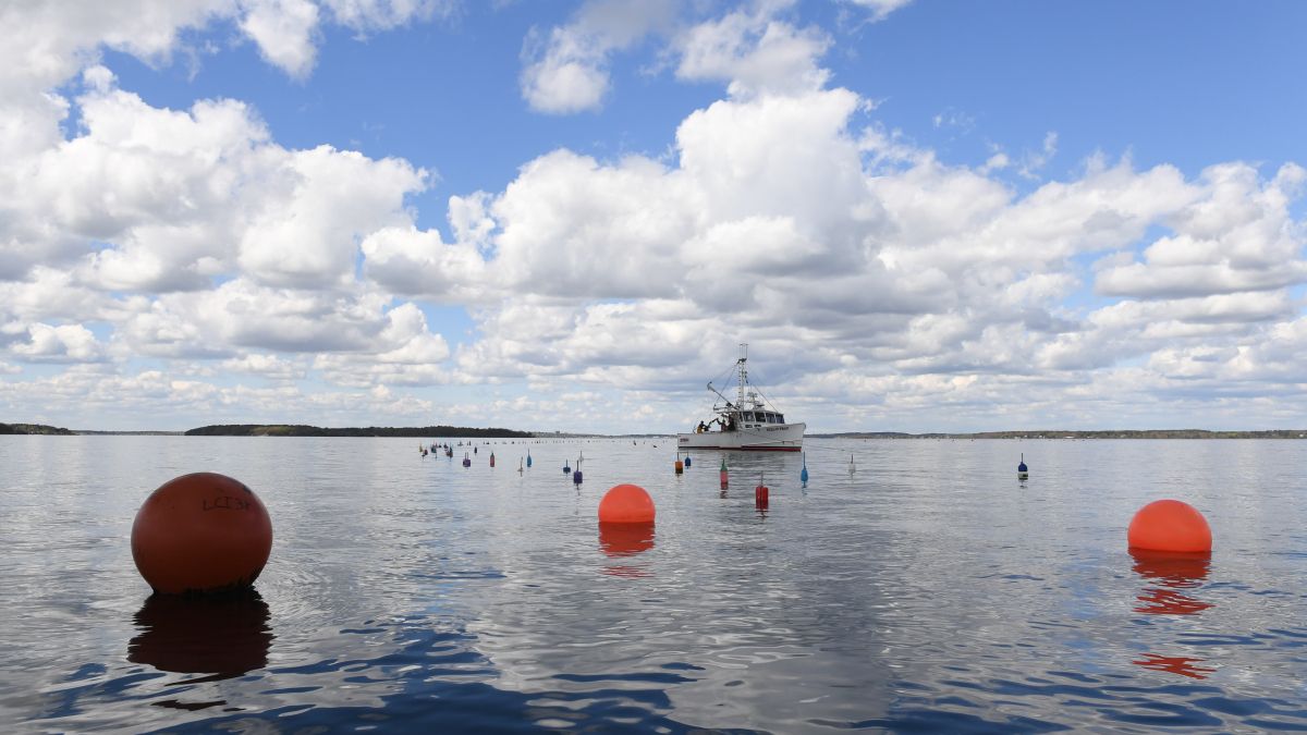 Lone boat out on a the water near red buoys