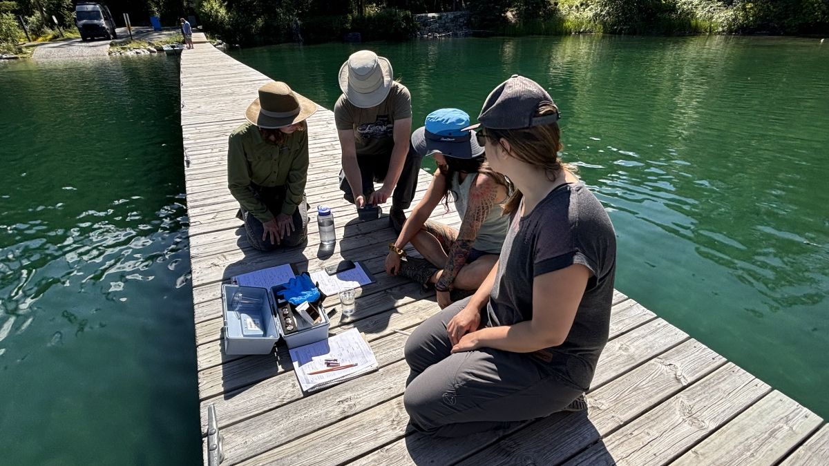 Four students on a boardwalk over water, surrounded by pines, working with a water quality kit