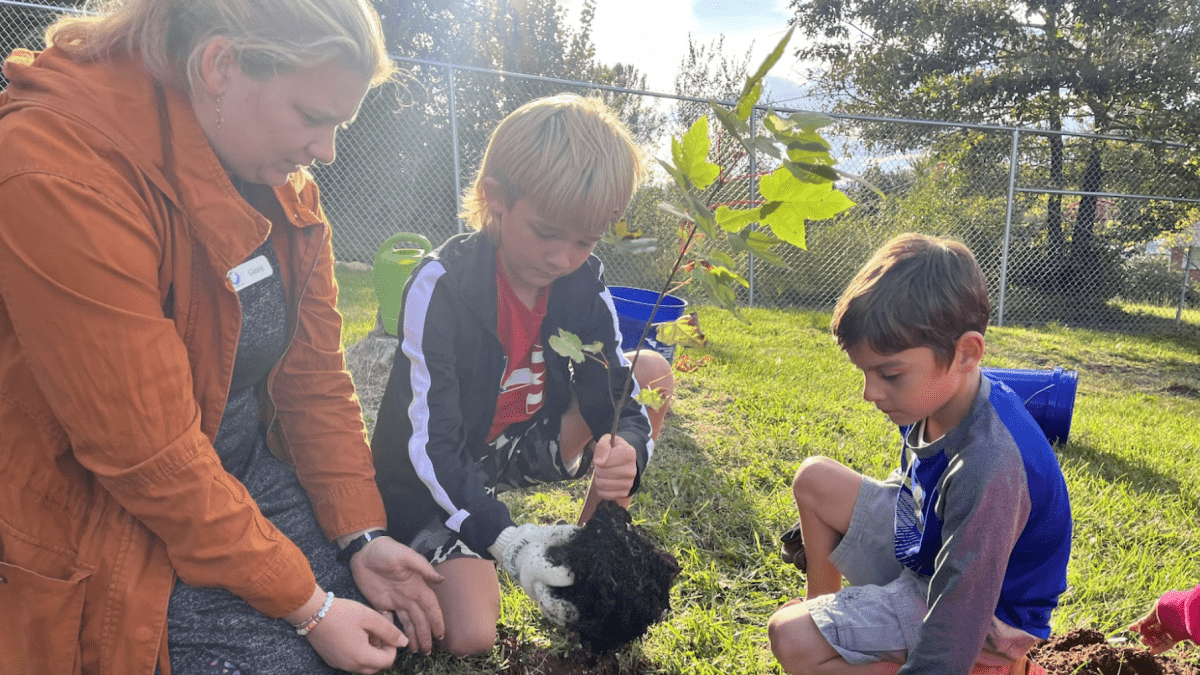An adult helps two kids plant a tree outside