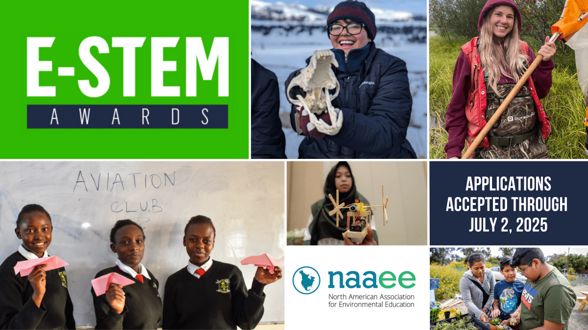Collage of people doing e-stem education, "E-STEM Awards" logo in the top left corner
