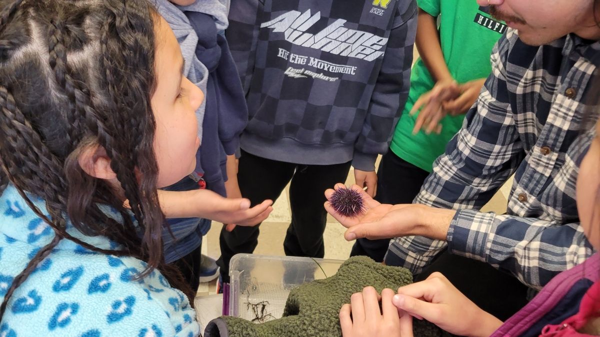 Students gather around a teacher holding a sea urchin