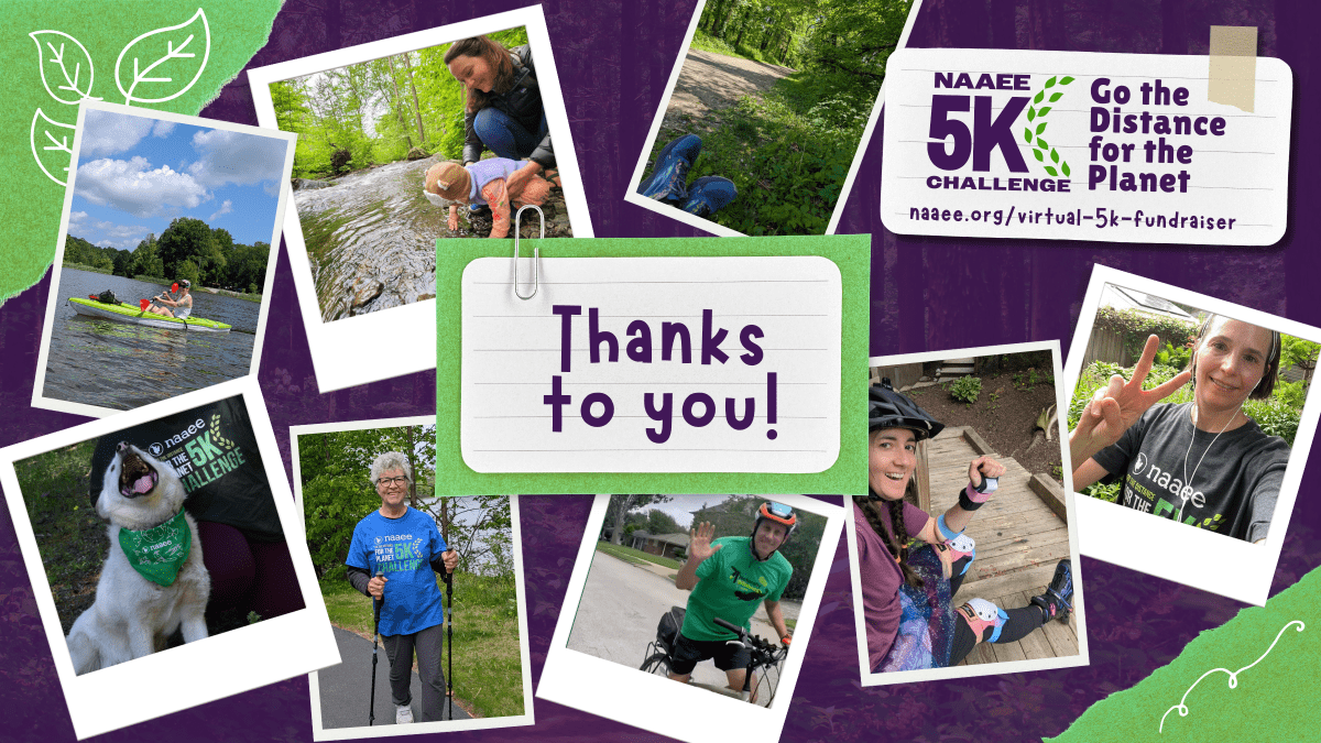 Thank you for participating in the NAAEE 5K Challenge! Photos of participants.