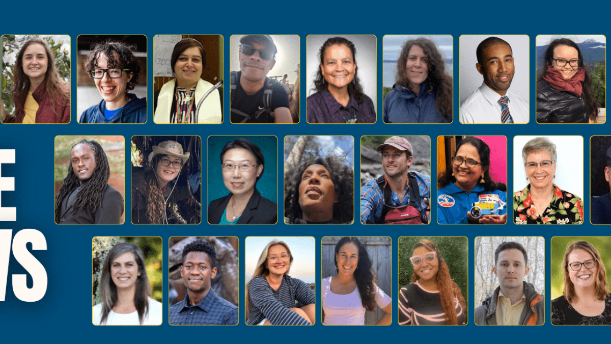 2025 CEE-Change U.S. Fellows grid