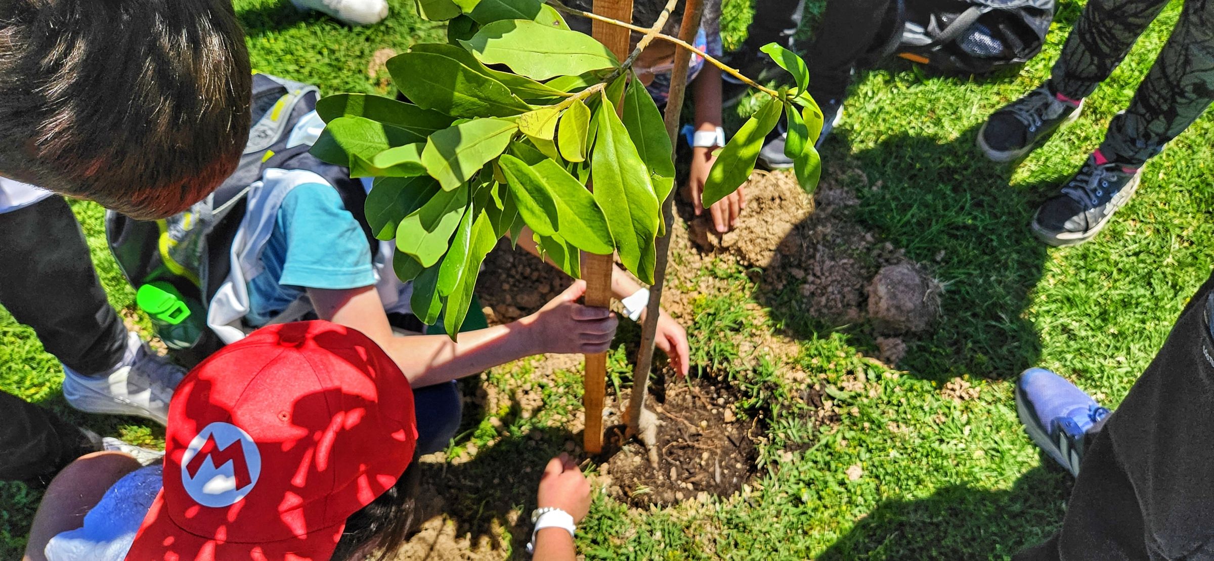 Martin at a volunteer planting event aimed at youth interested in reforestation