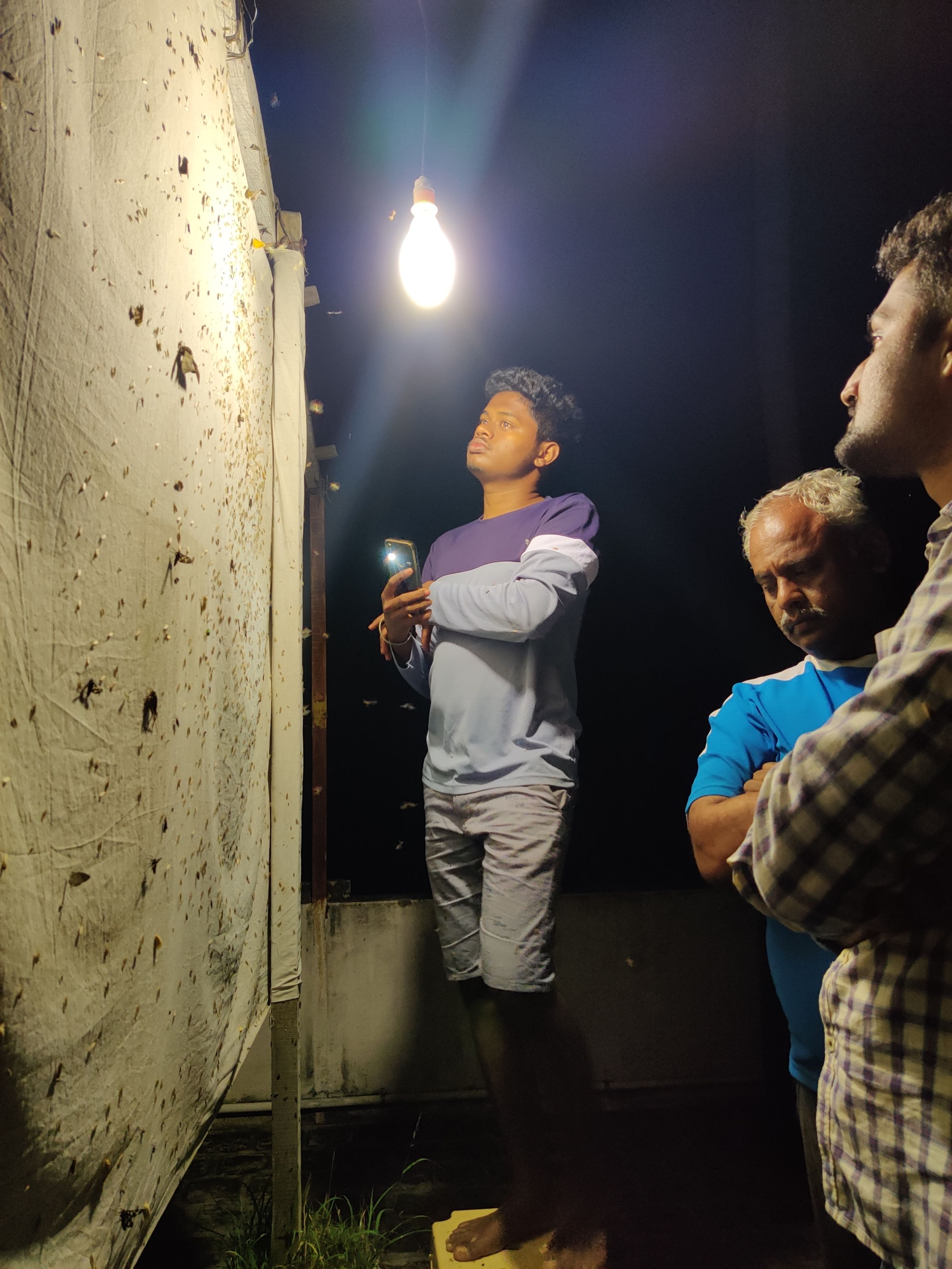 Seen here are Few members attend our flagship Moth Night program at night to observe and learn common moths