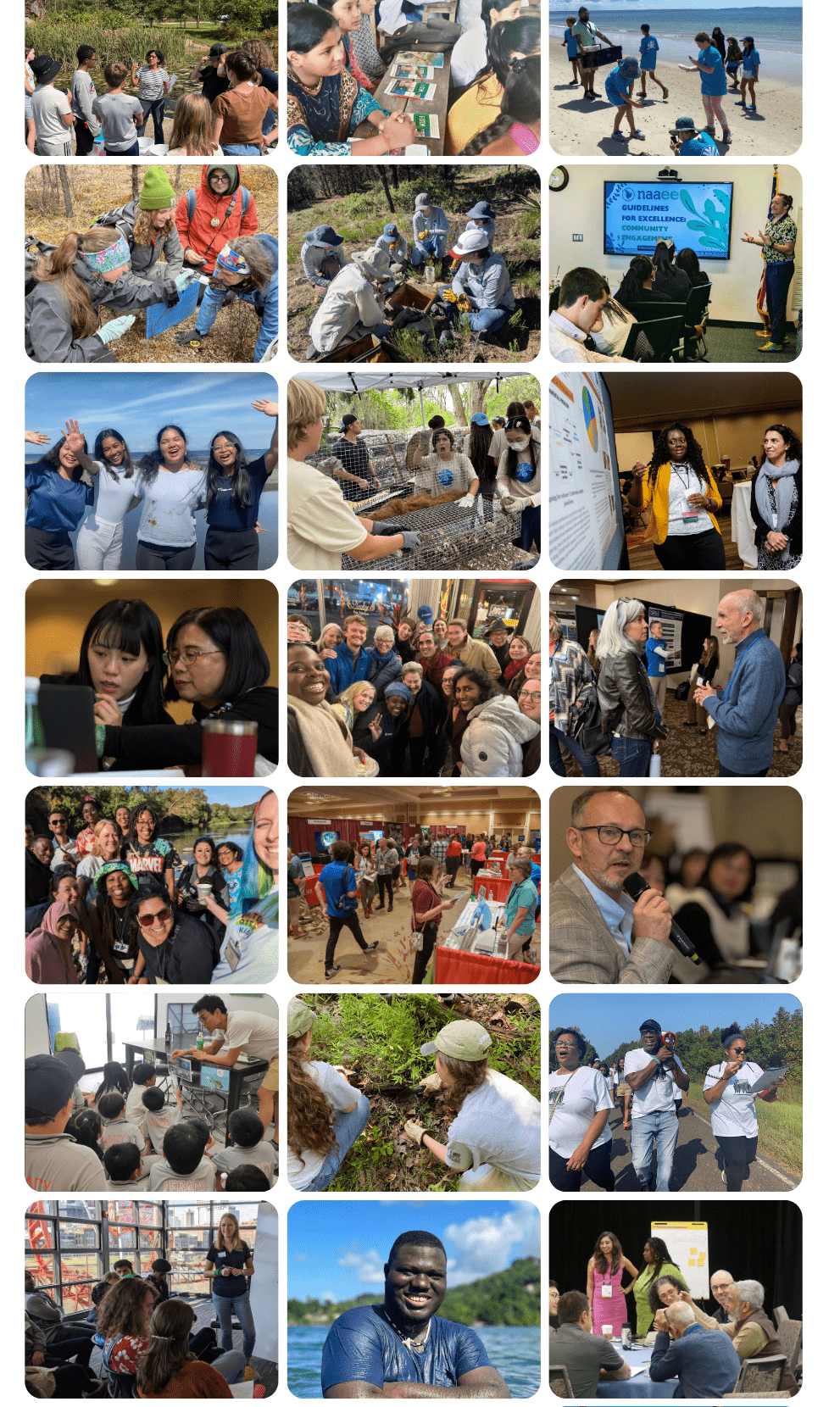 An eight by three grid of photos showing environmental education in action