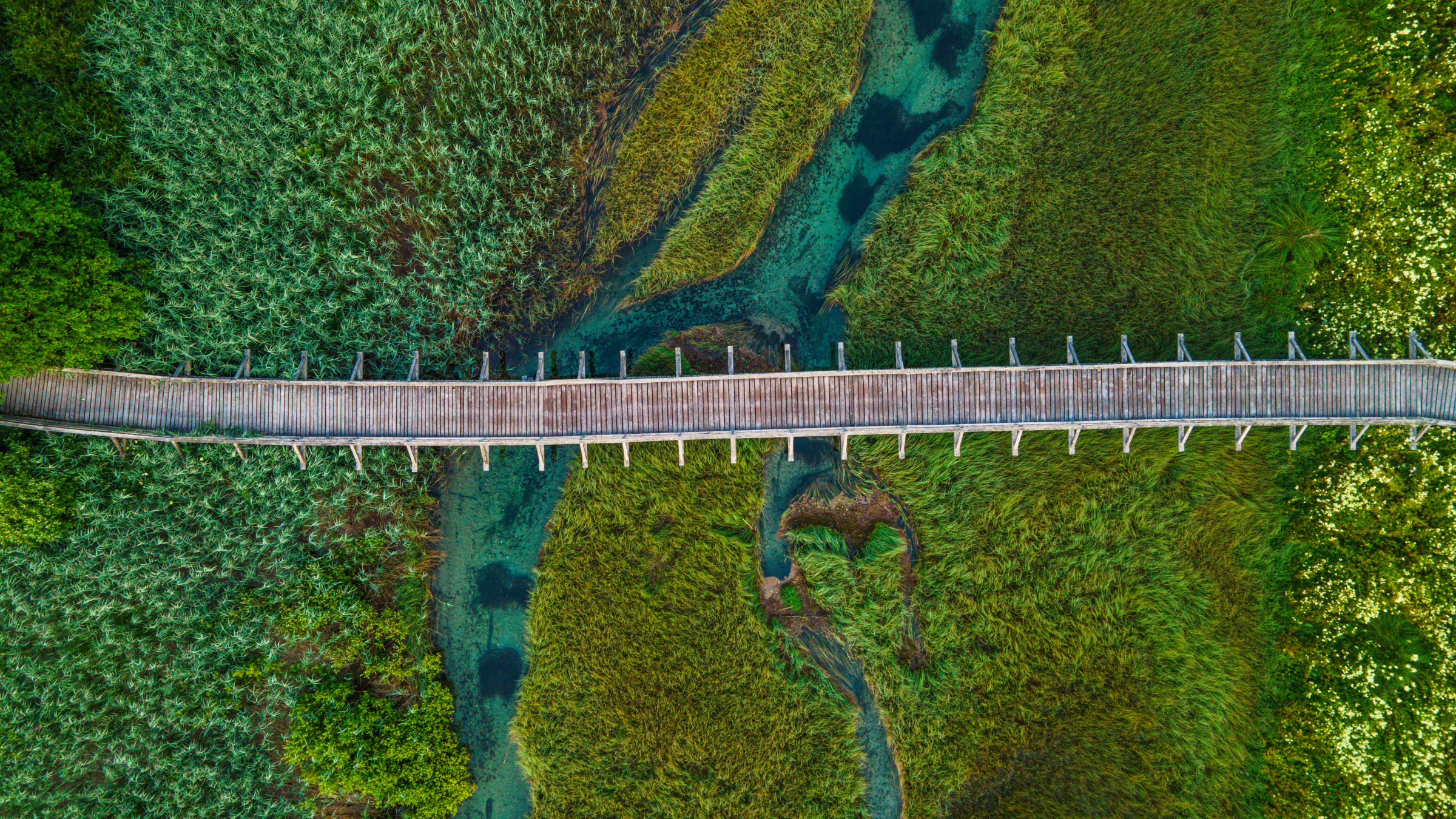 A bridge runs through an overhead landscape view - beneath it is a body of water and lush green vegetation
