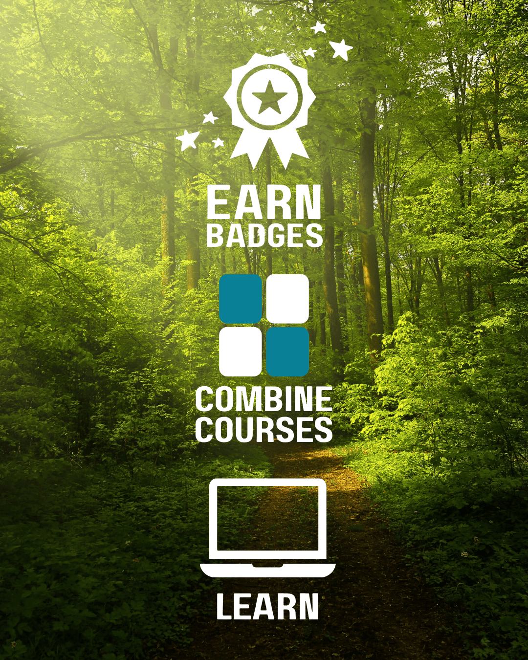 Icons for "Learn, Combine Courses, and Earn Badges"