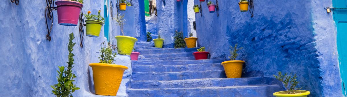 blue stairway and walls with colorful pots and plants