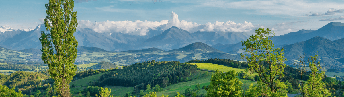 green grass covered hills