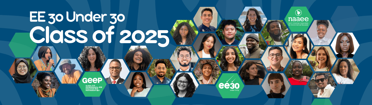 EE 30 Under 30 Class of 2025 Hive of faces