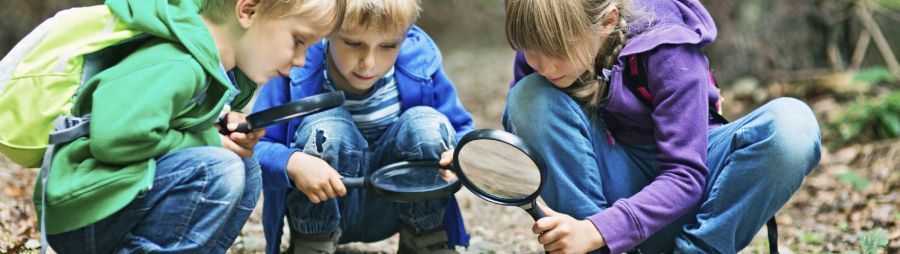 kids using magnifying glass to study leaves