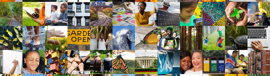 colorful grid of people food places