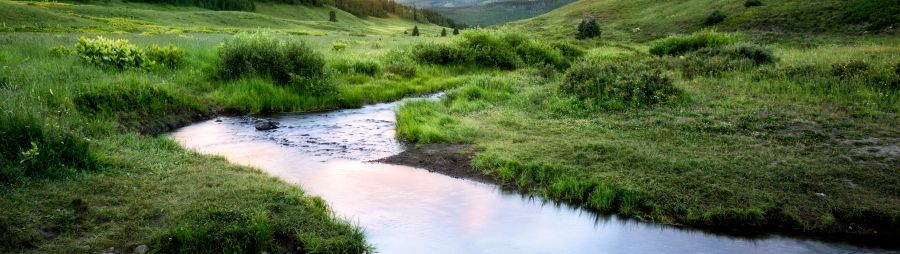 meandering stream