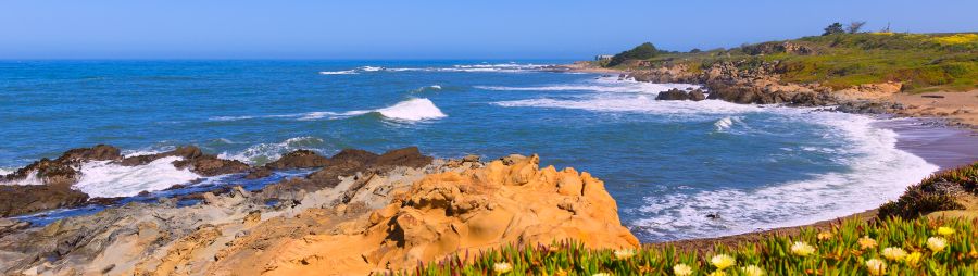 California Bean Hollow State beach
