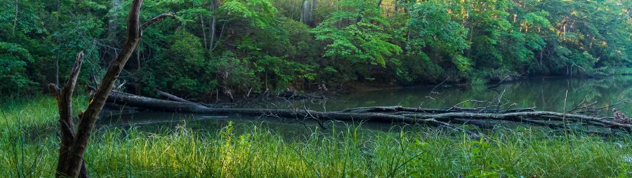 Quiet Waters Park, Annapolis, Maryland
