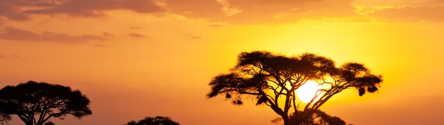 african sunset