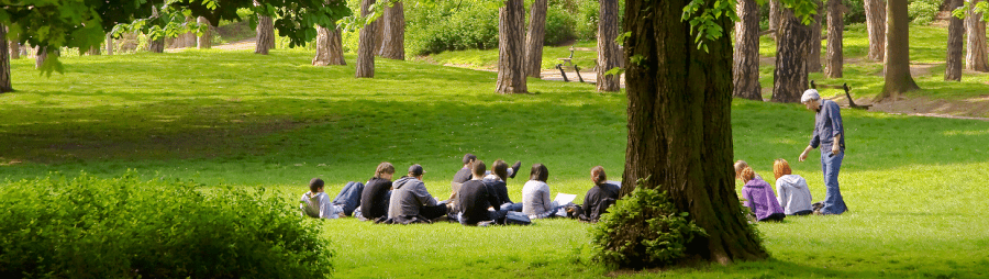 people sitting on grass in park