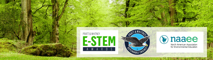 Pratt & Whitney E-STEM Awards Banner with logos of Pratt & Whitney and NAAEE.