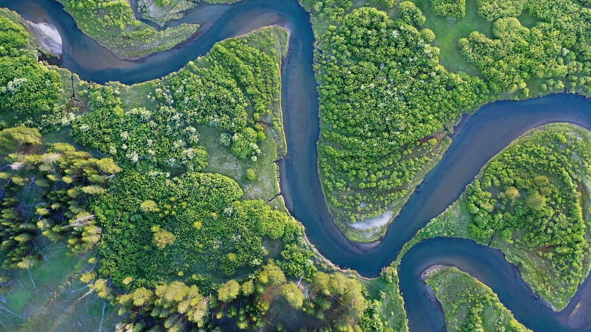 South Fork of the Madison River winding through green meadow from aerial view in Montana.
