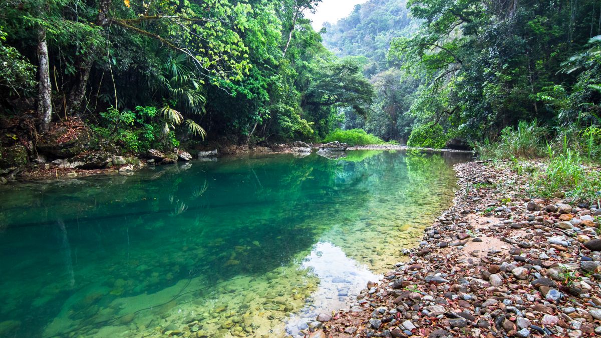 Bladen River Belize