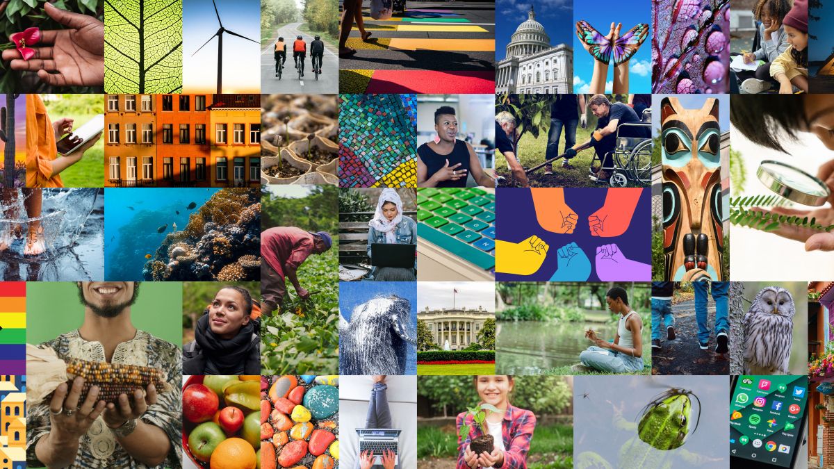 justice, equity, and inclusion image grid with photos from hands holding food to colorful natural settings