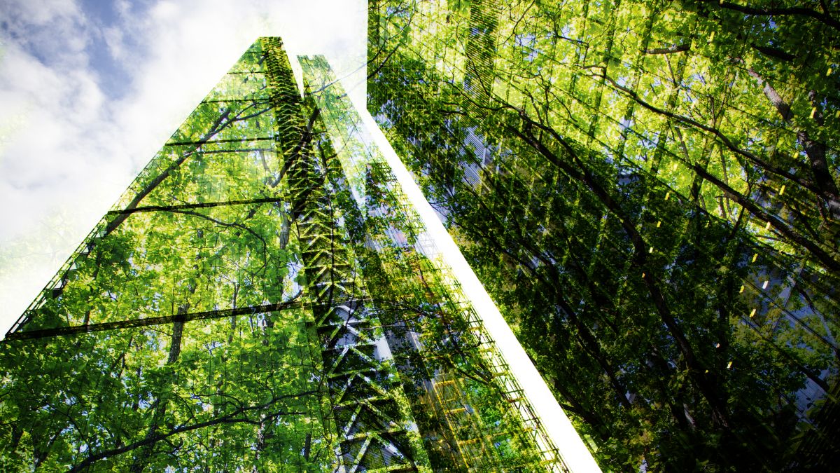 lush green forest reflected on skyscrapers windows