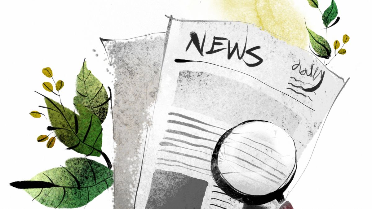 illustration of news with magnifying glass and green leaves