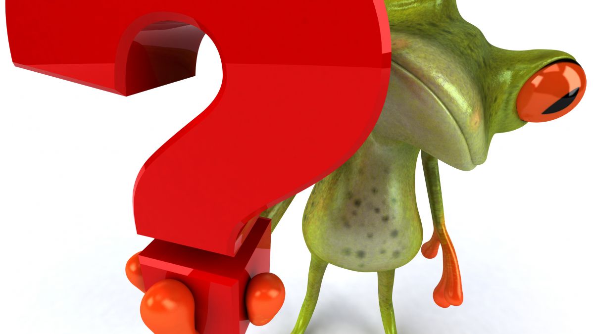frog with question mark