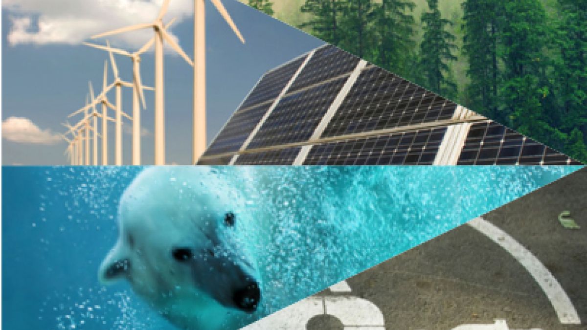 polar bear, evergreens, charging symbol, windmills