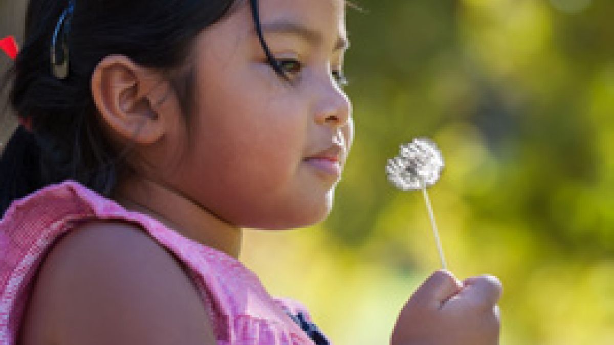 Young child outside looking at dandelion