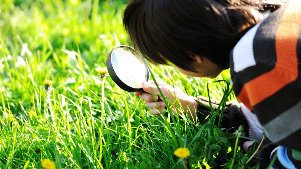 young person studying grass with magnifying glass