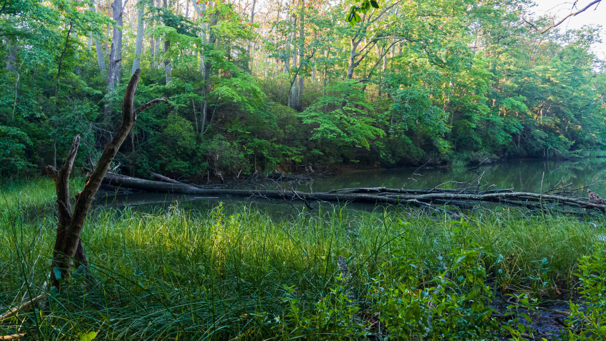 Quiet Waters Park, Annapolis, Maryland