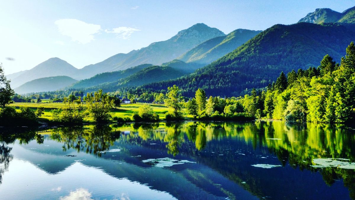 trees and mountains mirroring in lake