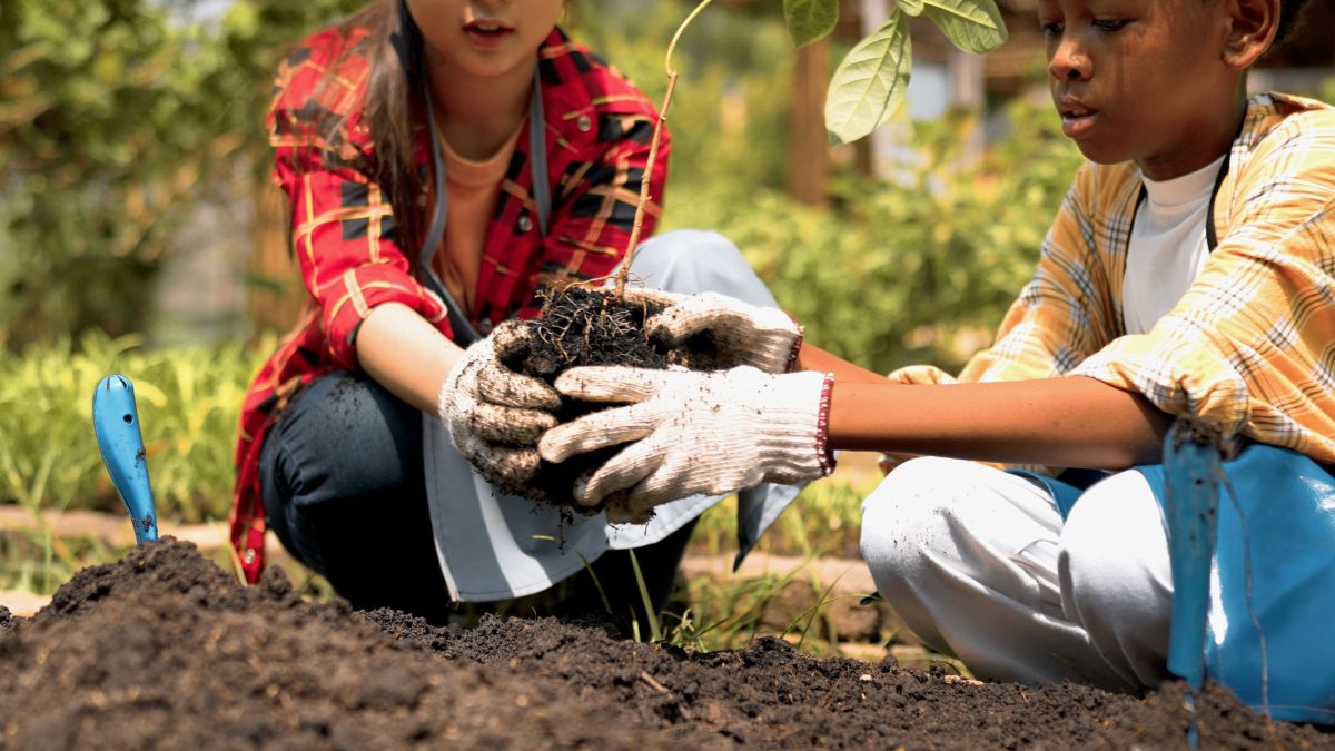 two young students planting sapling