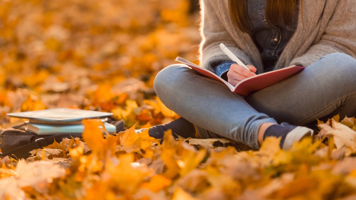 person sitting on autumn leaves with notebook