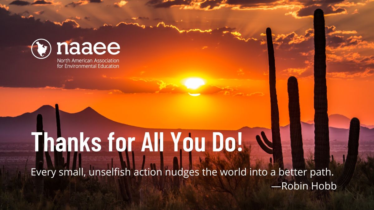 Judy November 2022 thank you letter header desert sunset "Thank you for all you do."