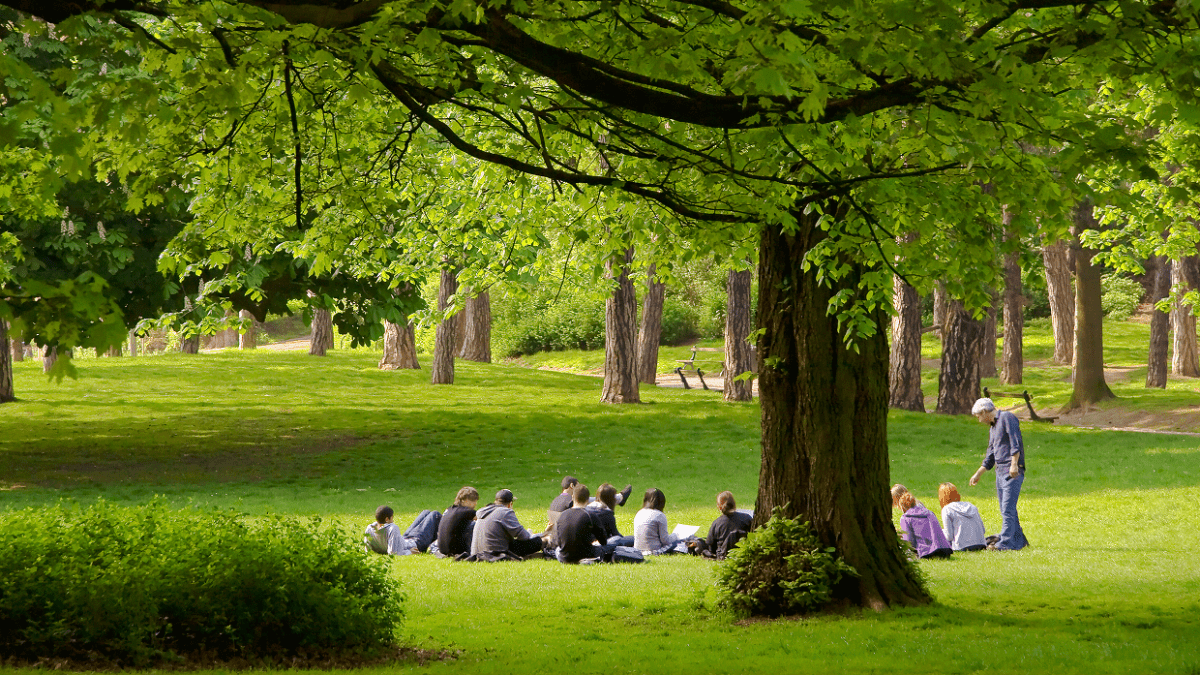 people sitting on grass in park