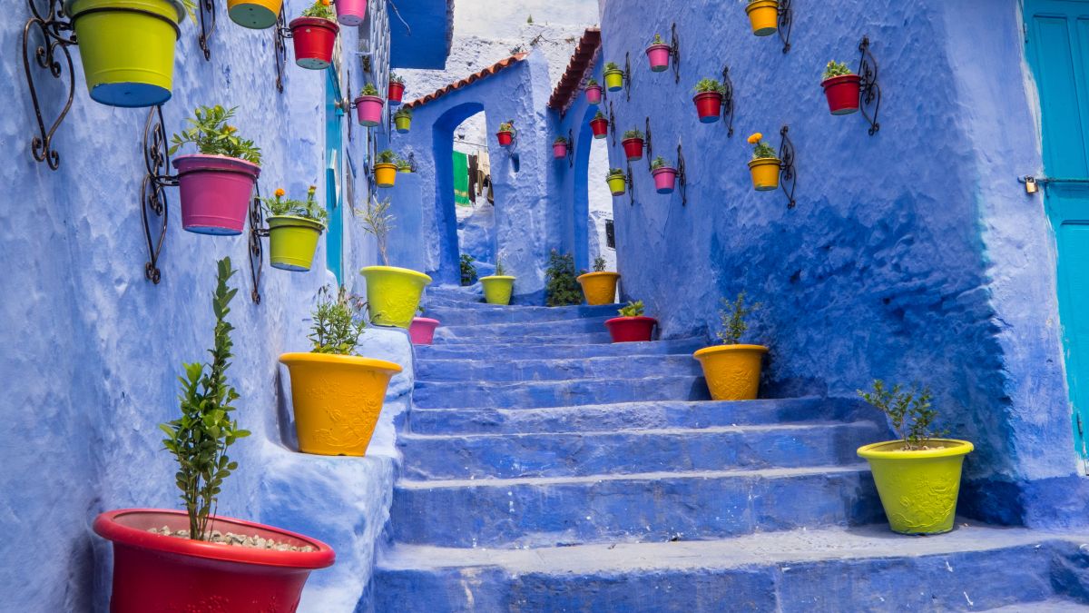 blue stairway and walls with colorful pots and plants