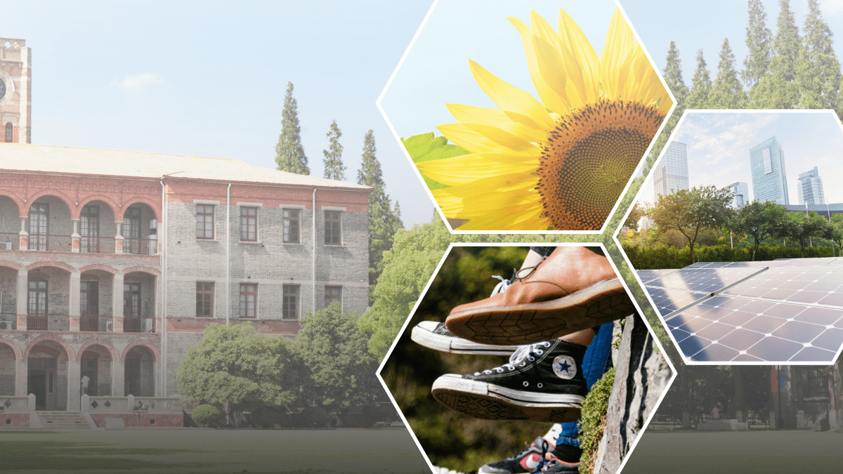 Higher education institution building in background, with overlay of images including a sunflower, feet dangling off a wall, and a city park scape.