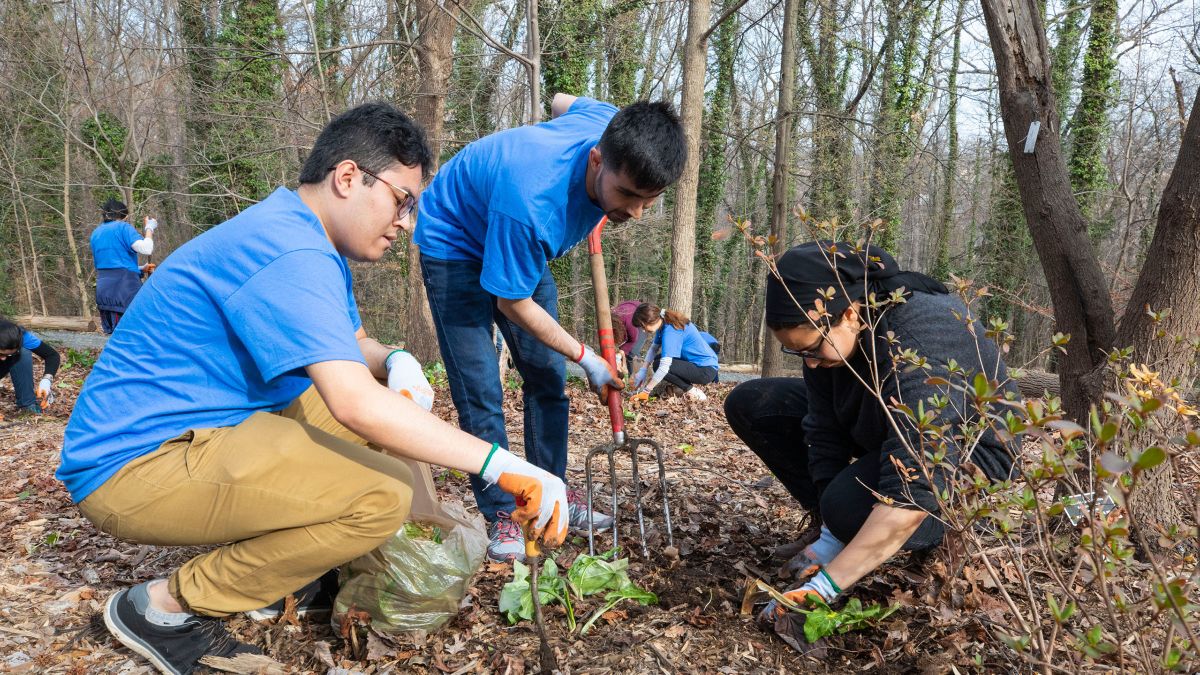 three college students planting in forest
