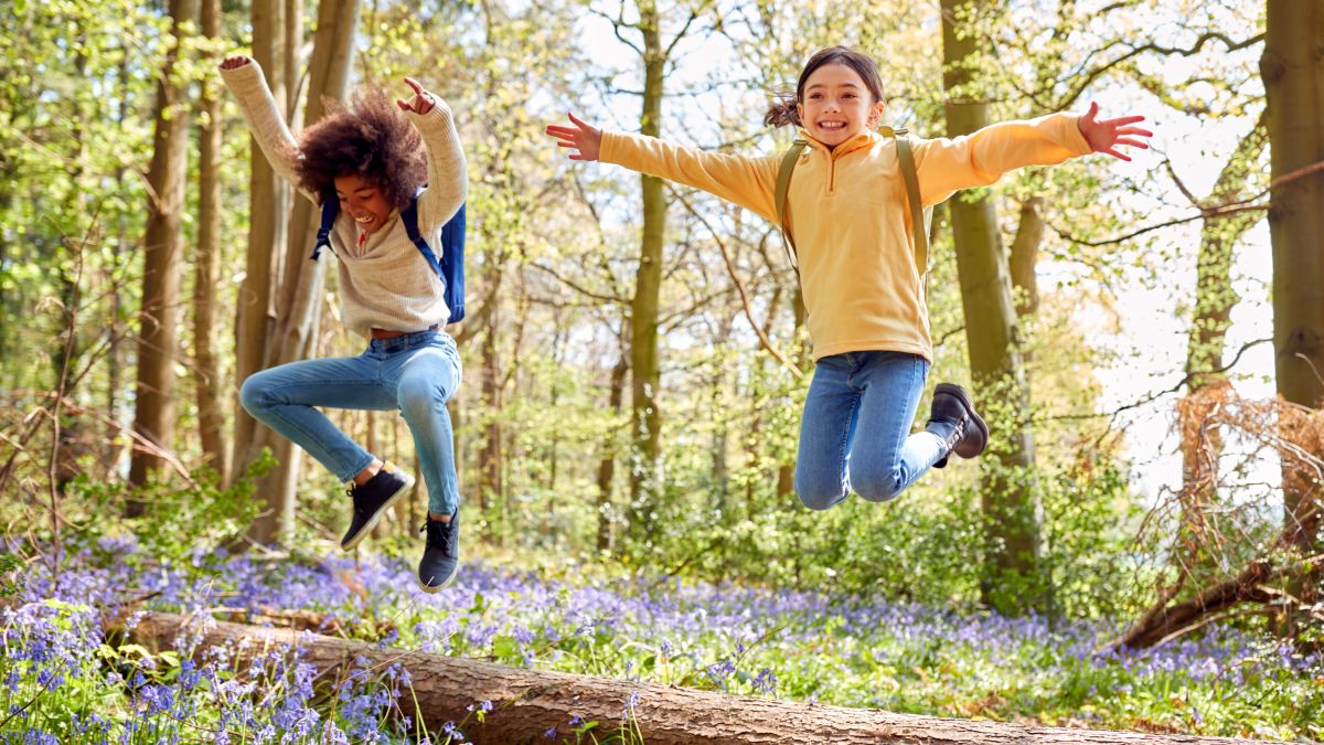 Two children walking in the woods, hopping over a log. Bluebells cover the forest floor.