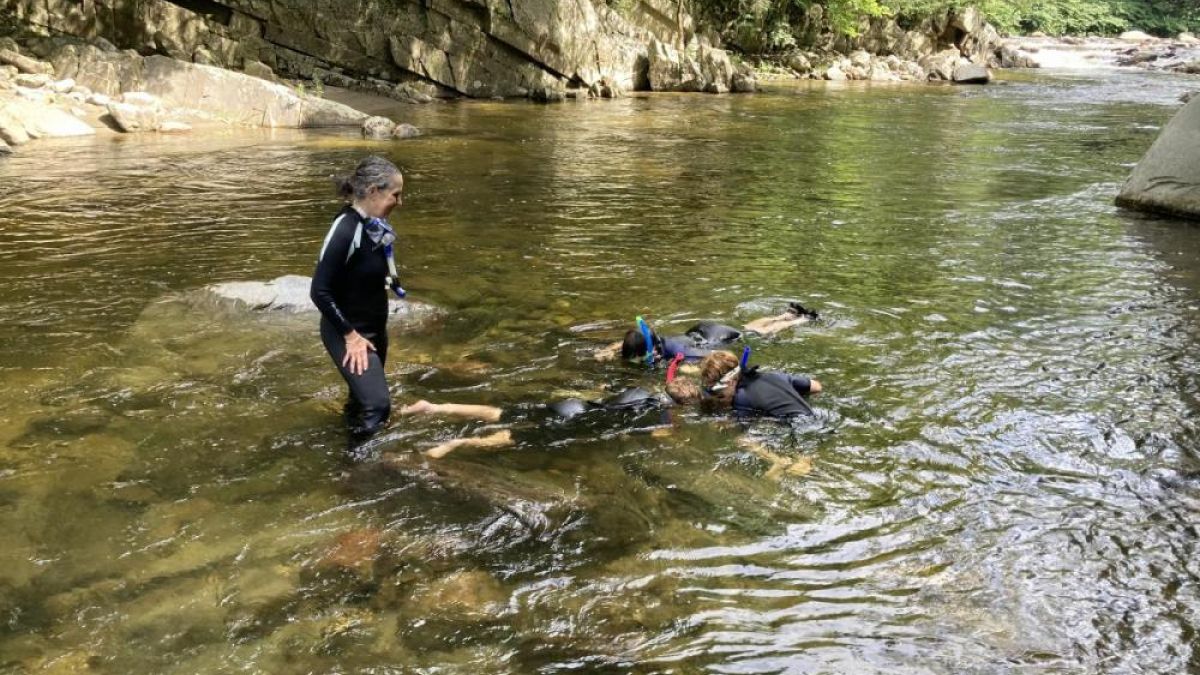 An adult educator wearing a black and gray wetsuit stands overlooking 3 students floating face down wearing snorkels and masks floating in a rocky river. On the far side of the river is a rocky outcropping, with pine trees at the top edge of the photo.