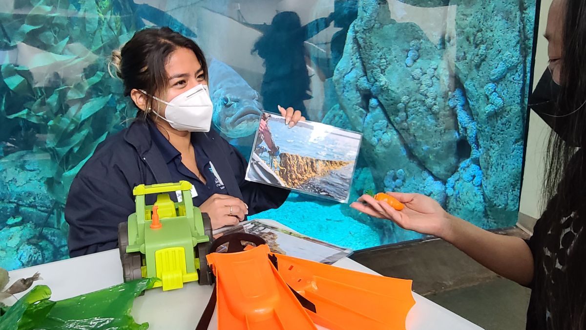 Photo of a masked woman sitting in front of an aquarium exhibit. A large fish stares out at the woman who is holding a photo of a kelp farm. In front of the woman is a table with colorful toys. A young masked child holds a carrot out to the woman.