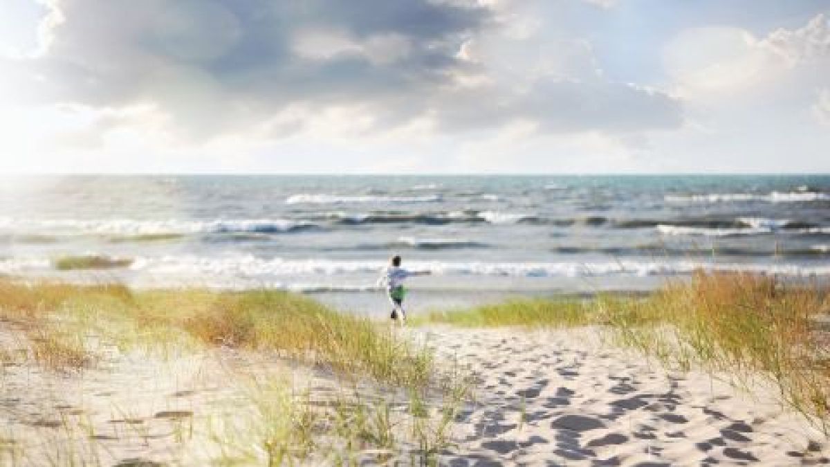 Cumulus clouds fill the sky above a grassy coast where a child walks towards the shoreline.