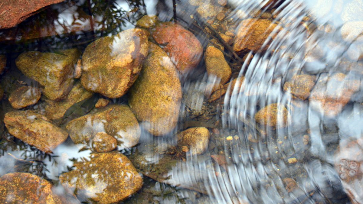 ripples on water above rocks in a stream bed