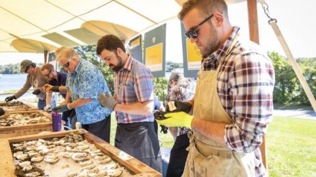 A row of people shucking oysters under a tent on a sunny day.