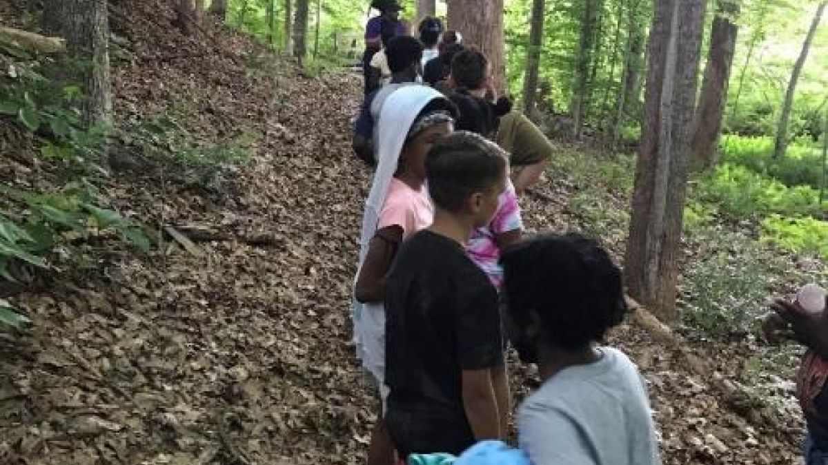 Students hiking in single file through a forest