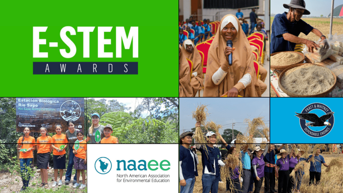 Promotional banner of the E-STEM Awards. Images of children learning through hands-on experiences.